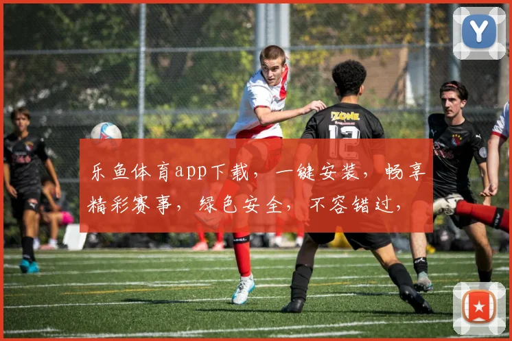 乐鱼体育app下载，一键安装，畅享精彩赛事，绿色安全，不容错过，必看攻略