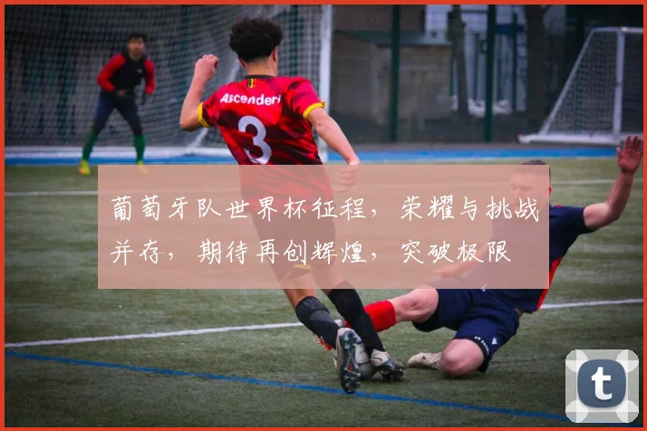 葡萄牙队世界杯征程，荣耀与挑战并存，期待再创辉煌，突破极限