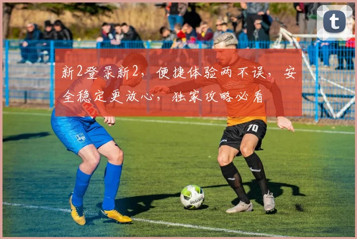新2登录新2，便捷体验两不误，安全稳定更放心，独家攻略必看